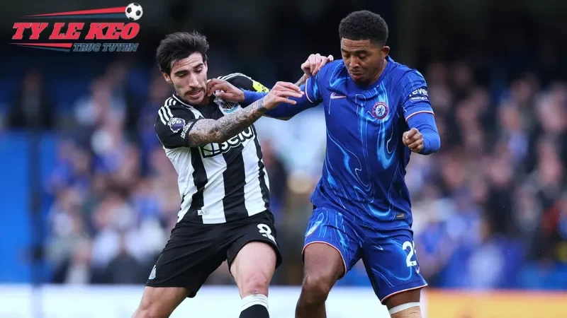 ty-le-keo-truc-tuyen-3_11zon